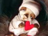 sox_04.jpg